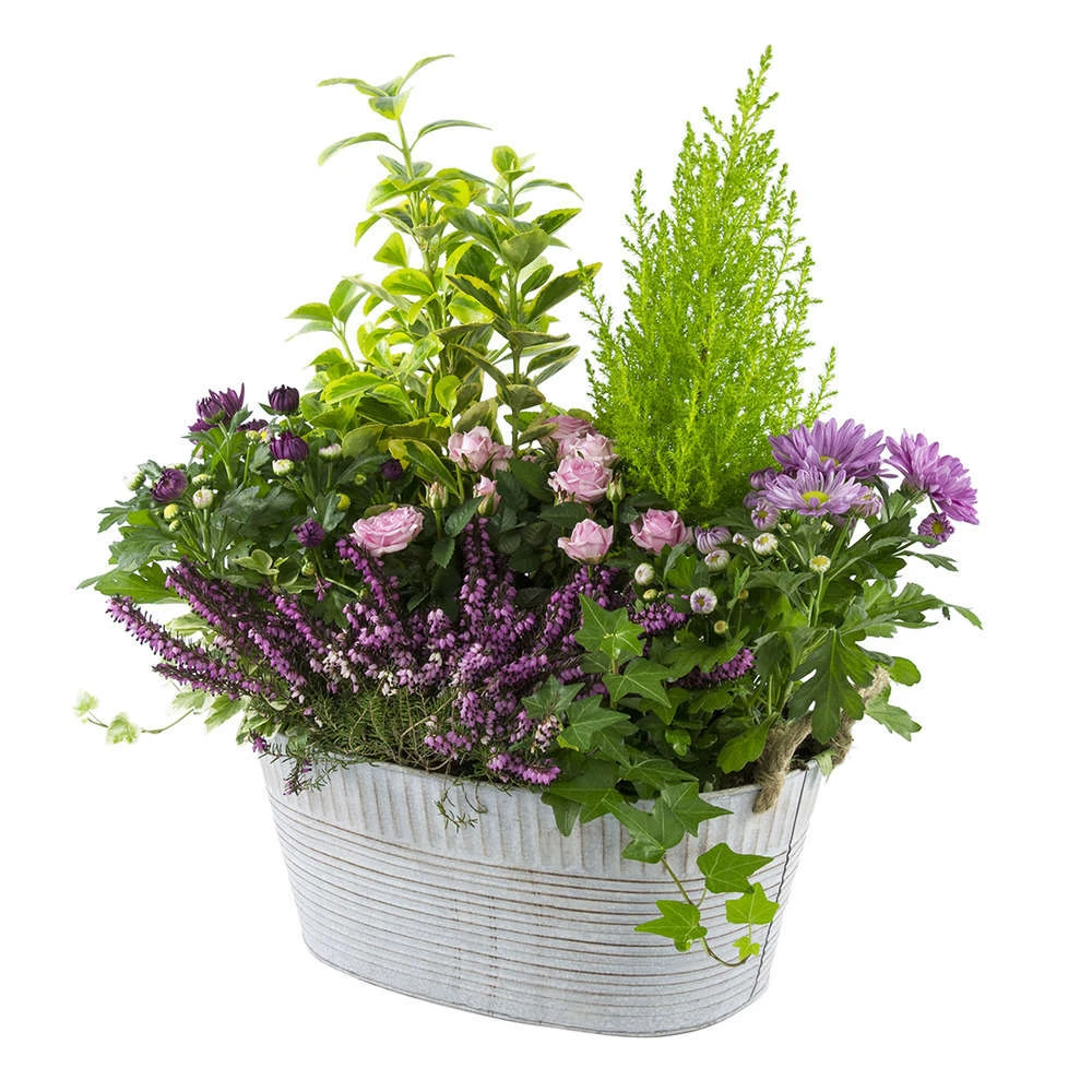 Composition D’Automne : Bassine Zinc, Ø 30 cm - - Coloris Variables – Image 2