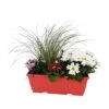 Jardinière De Bisannuelles Et Vivaces 40 Cm - Coloris Variables