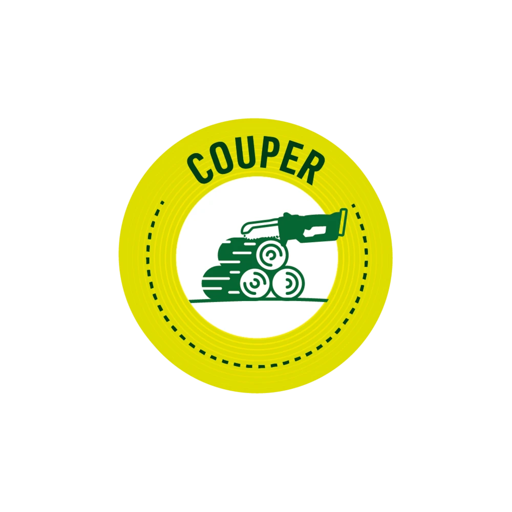 Pack Tronçonneuse Sans Fil + Batterie De Rechange-vert – Image 4