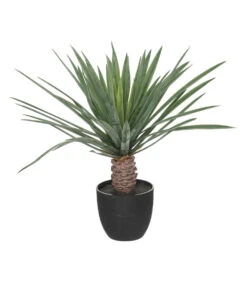 ATMOSPHERA Plante Artificielle Palmier En Pot H 52 Cm