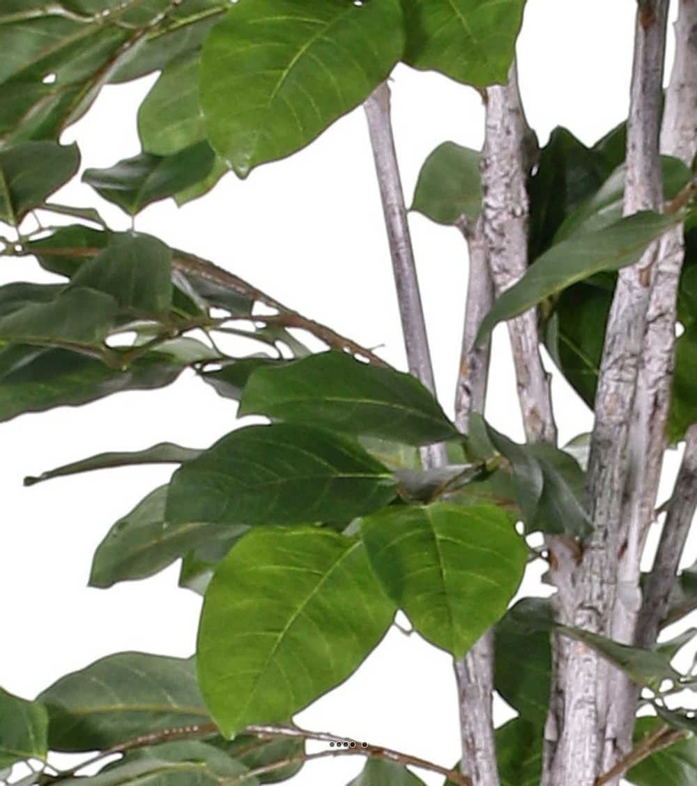 Figuier Des Banyans Artificiel 180 Cm – Image 2