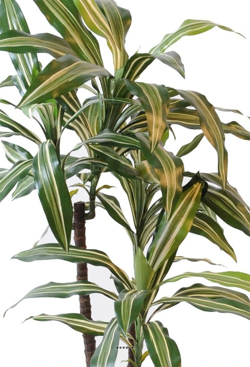 Dracaena Artificiel 3 Têtes H 90 Cm En Pot Vert-jaune – Image 2