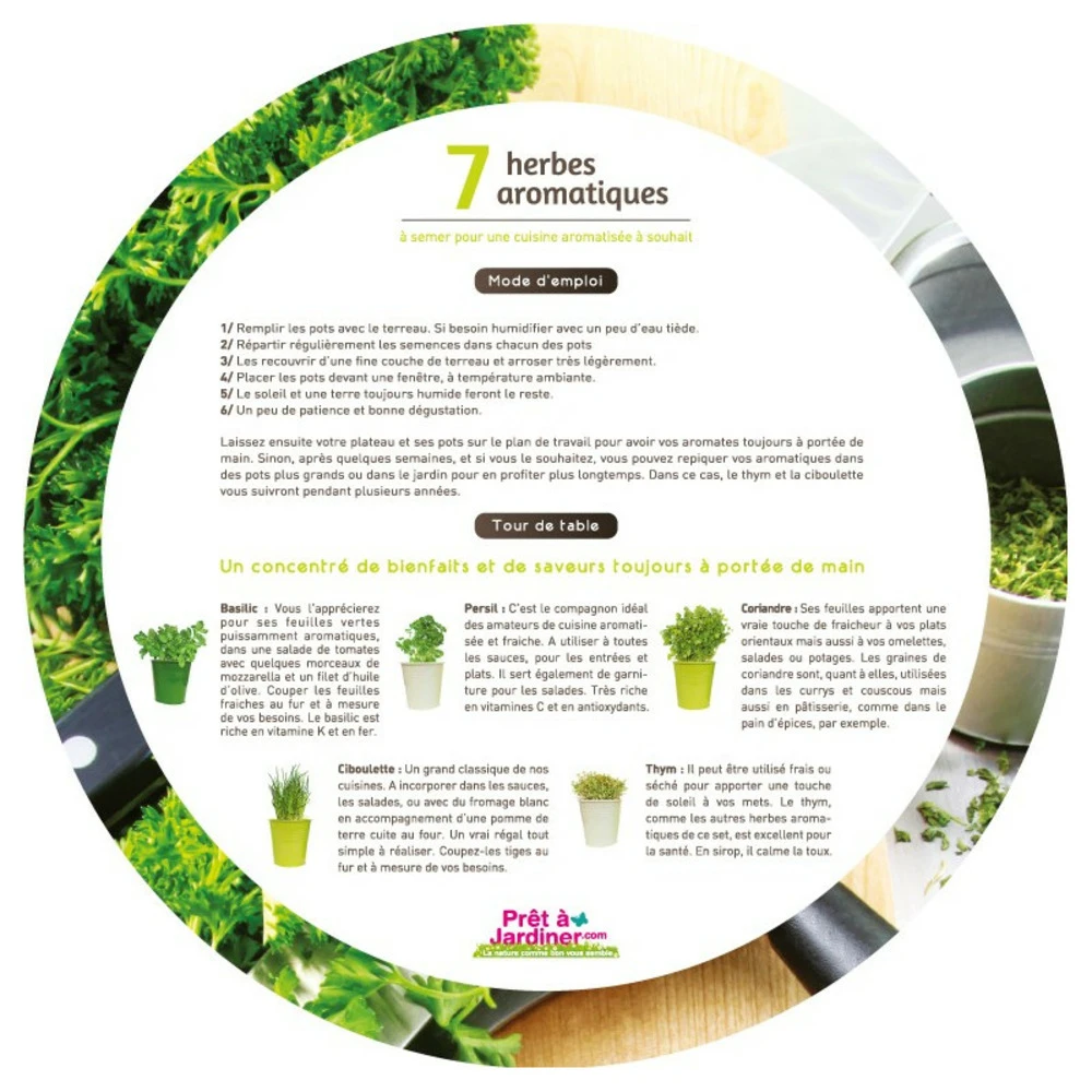 Plateau 7 Herbes Aromatiques – Image 3