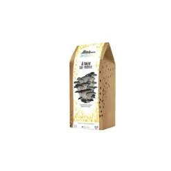 Kit Champignons Boite à Faire Soi-même