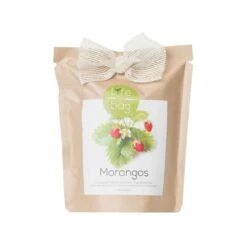 Kit Bio Prêt à Pousser Fraise