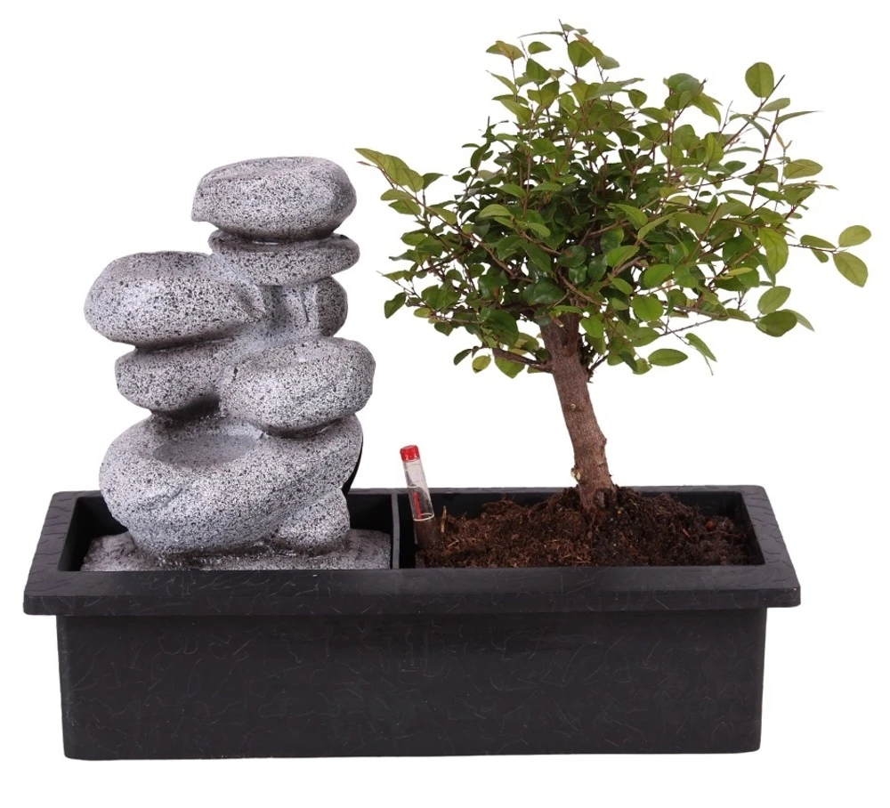 Set Bonsaï Et Cascade-pierres - Support L.30cm- H.25-30cm
