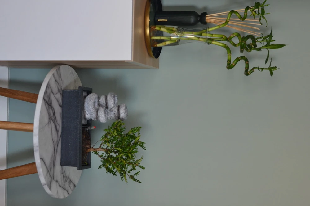 Set Bonsaï Et Cascade-pierres - Support L.30cm- H.25-30cm – Image 3