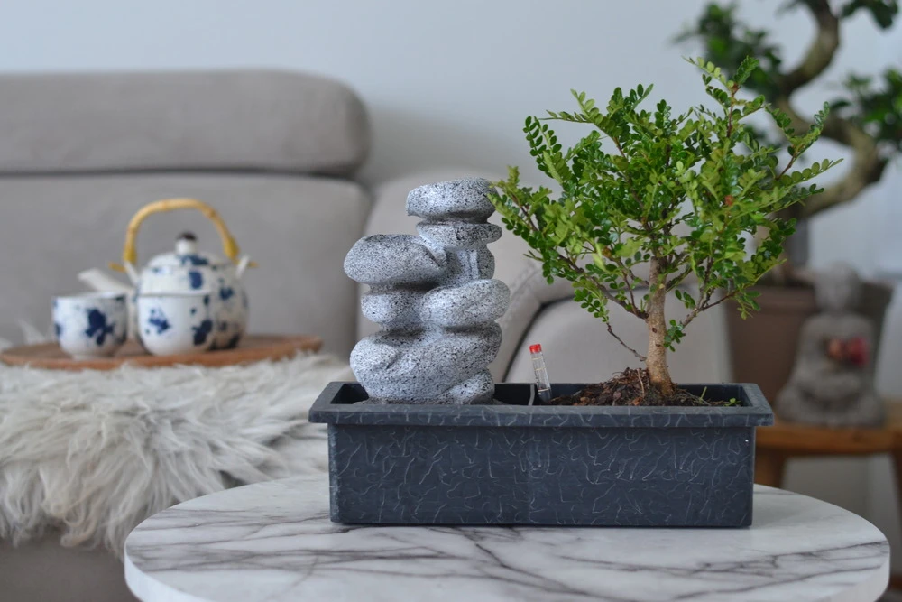 Set Bonsaï Et Cascade-pierres - Support L.30cm- H.25-30cm – Image 2