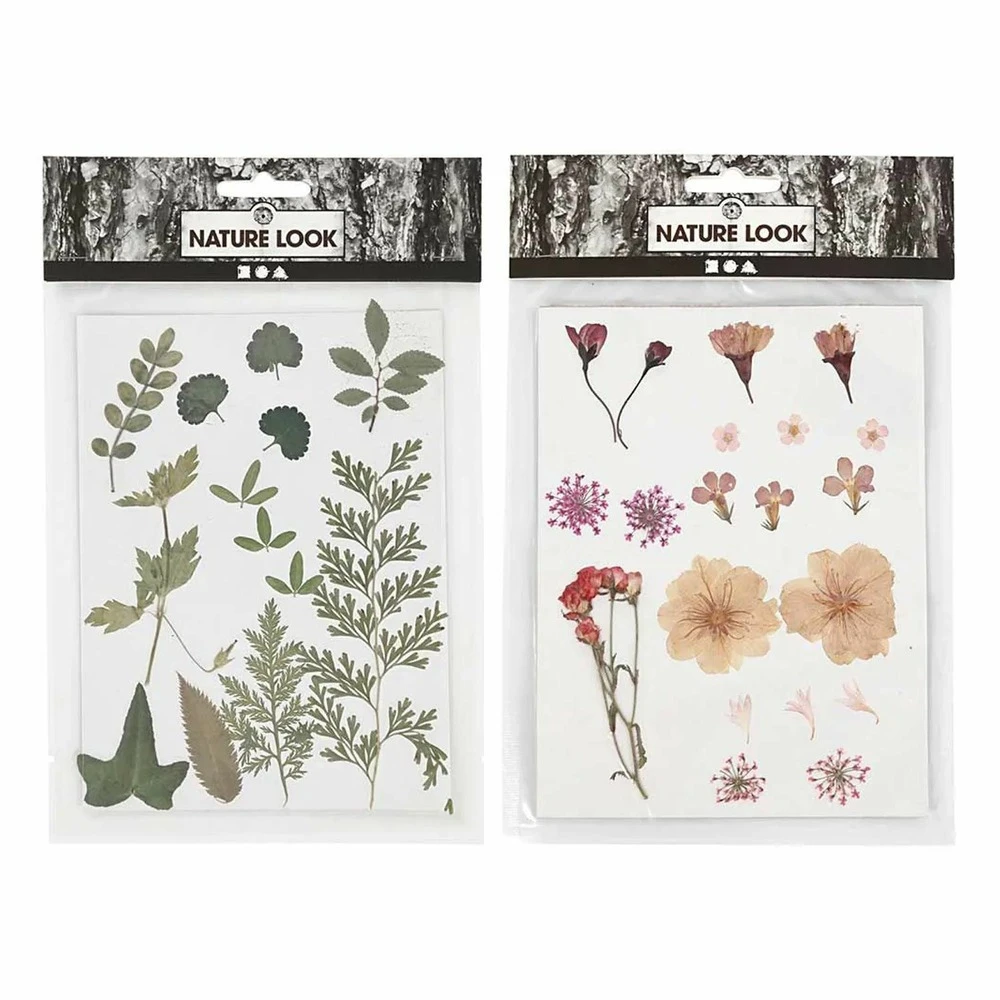 40 Fleurs Et Feuilles Séchées - Rose & Vert – Image 2