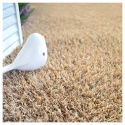 Gazon Synthétique Arty - Couleur Beige - 20mm - 2m X 10m