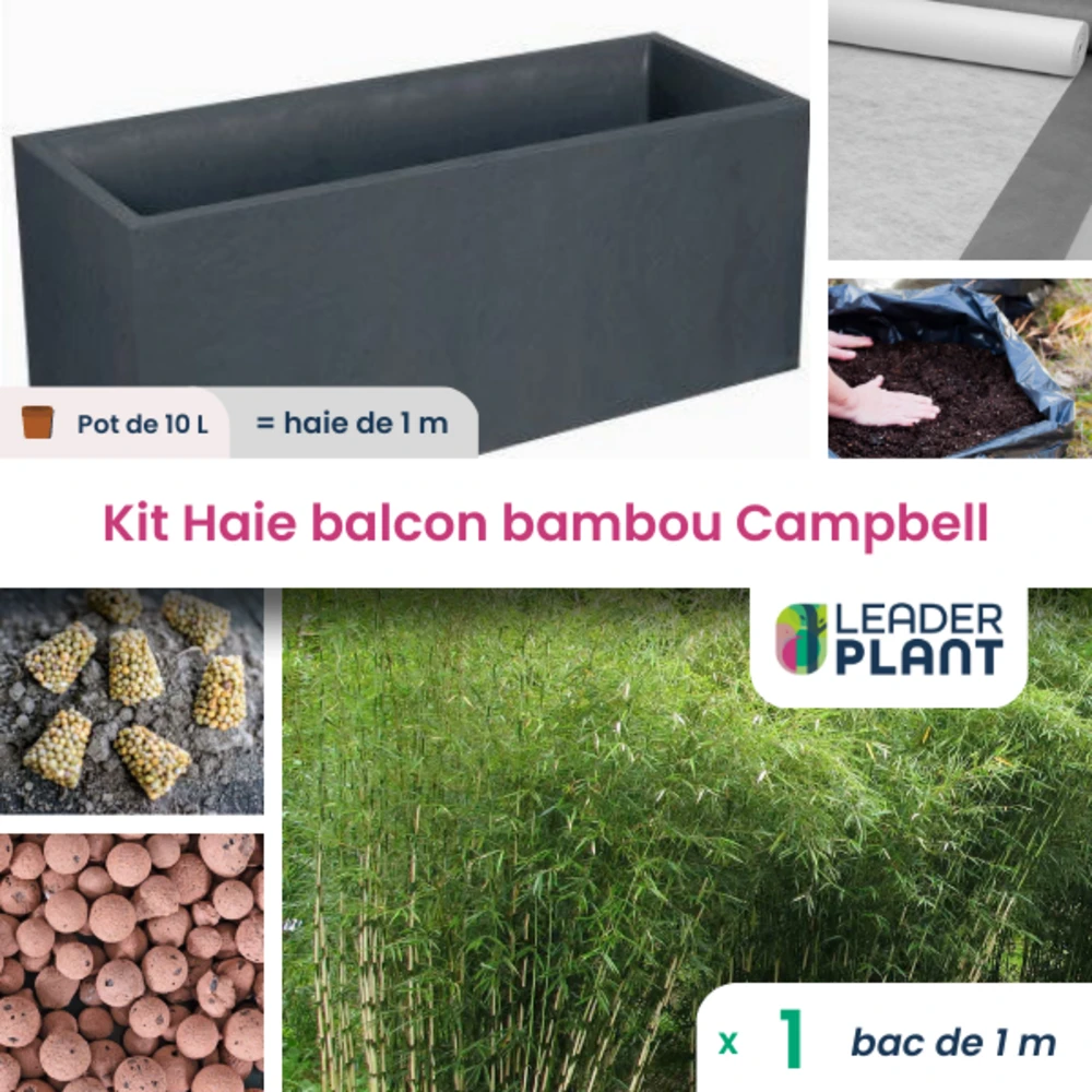 Kit Brise-vue Balcon Bambou Campbell 10 L – Image 2