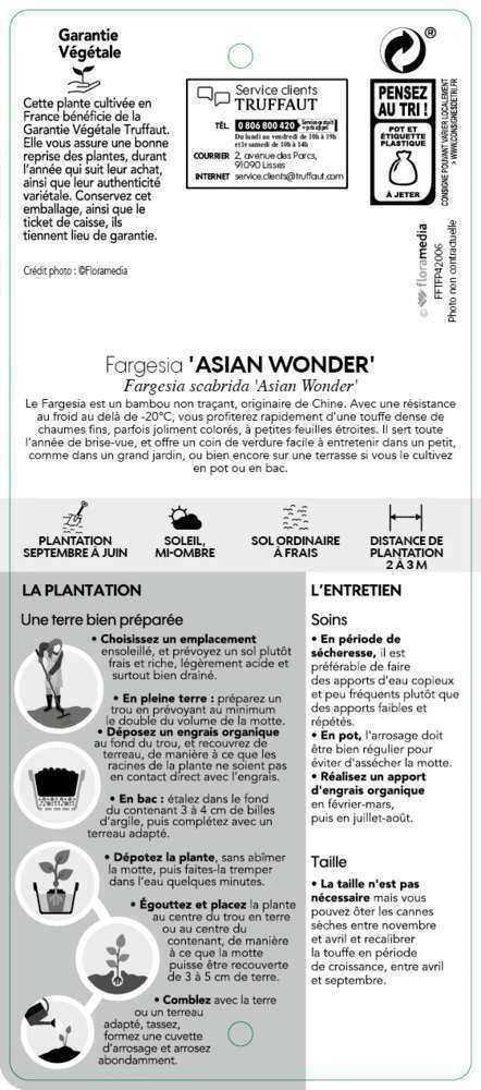Bambou Non-traçant Fargesia Scabrida 'Asian Wonder': Pot De 5 Litres – Image 3