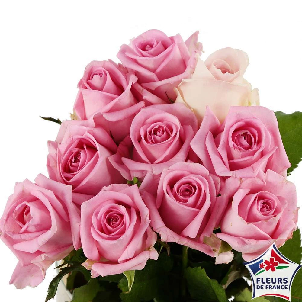 Botte 10 Roses ''Fleurs De France'' H.50cm Coloris Variables – Image 4